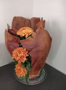 fb img 1767735149079