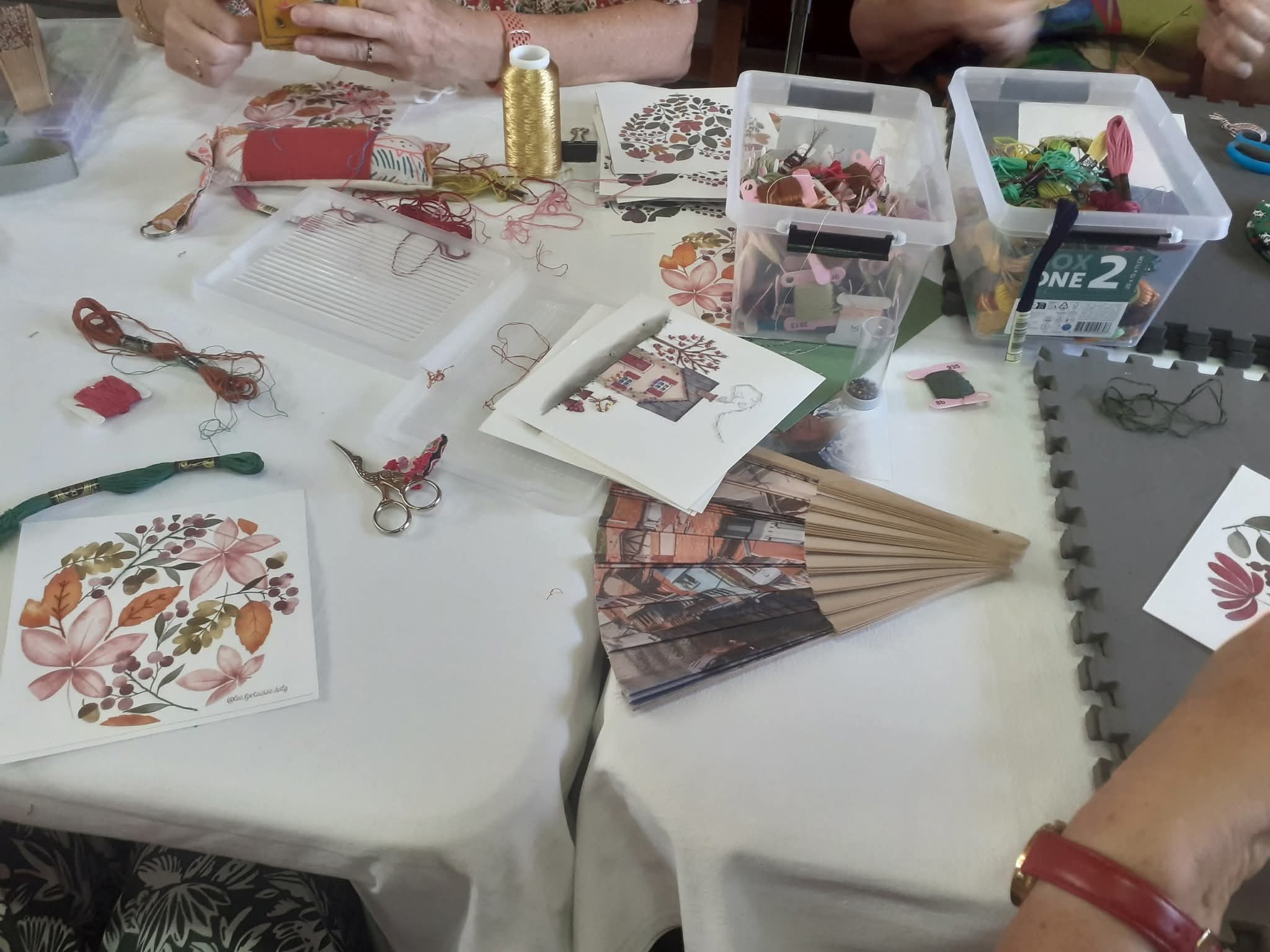 fb img 1767735180669