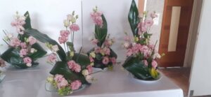 fb img 1767735308320