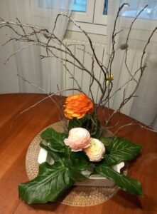 fb img 1767735347743