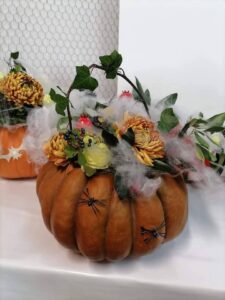 fb img 1767735592509