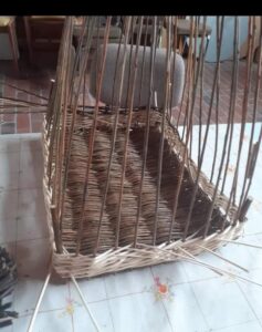 fb img 1767735826490