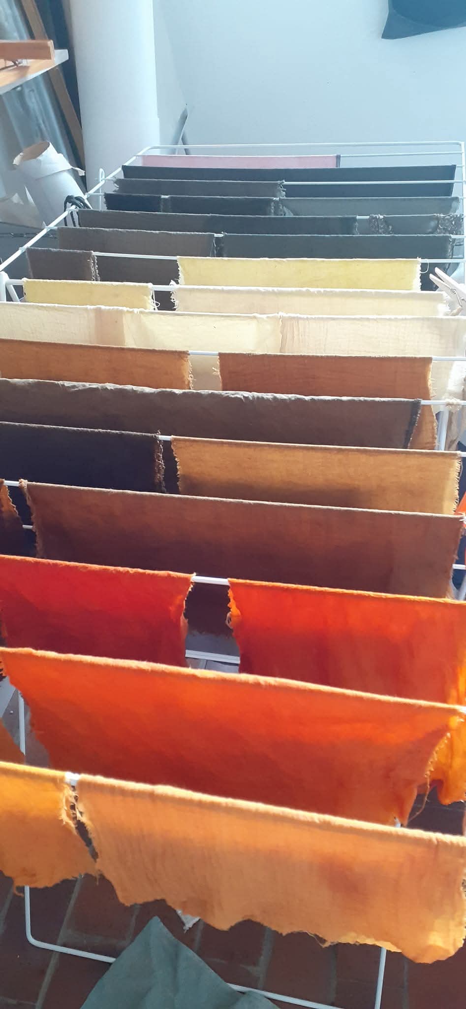 fb img 1767735905526