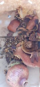 fb img 1767735952094