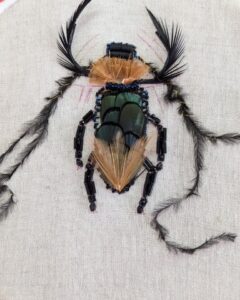 fb img 1767737630495