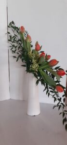 fb img 1767737708632