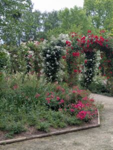 pxl 20250521 082018040