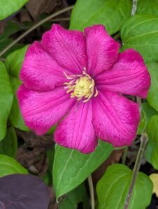 pxl 20250521 085203328