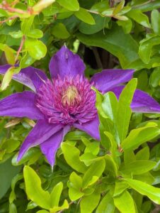 pxl 20250521 085225321