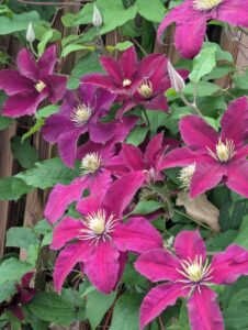 pxl 20250521 085246782