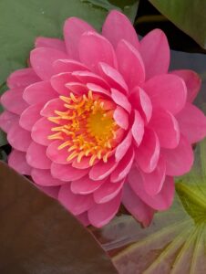 pxl 20250521 101825970