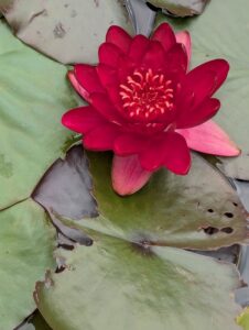 pxl 20250521 101938944