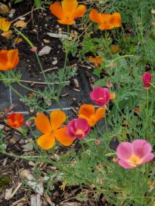 pxl 20250521 102244869