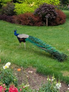 pxl 20250521 102329273.portrait.original