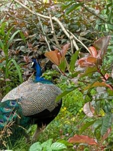 pxl 20250521 102404577.portrait.original