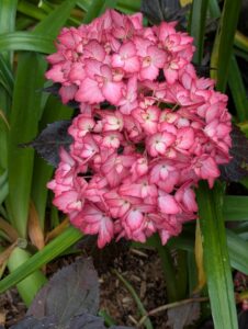 pxl 20250521 102921601