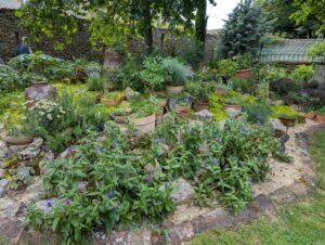 pxl 20250521 140404110