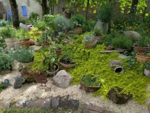 pxl 20250521 140447762