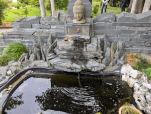 pxl 20250521 145724858