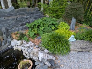 pxl 20250521 145730311