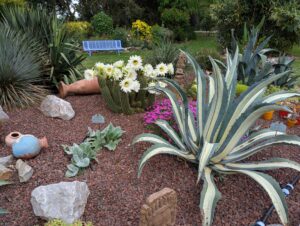 pxl 20250521 150329852