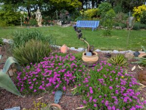 pxl 20250521 150459667