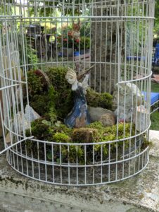 pxl 20250521 151225212